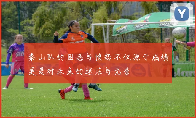 泰山队的困惑与愤怒不仅源于成绩更是对未来的迷茫与无奈